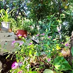Apartment Hillside