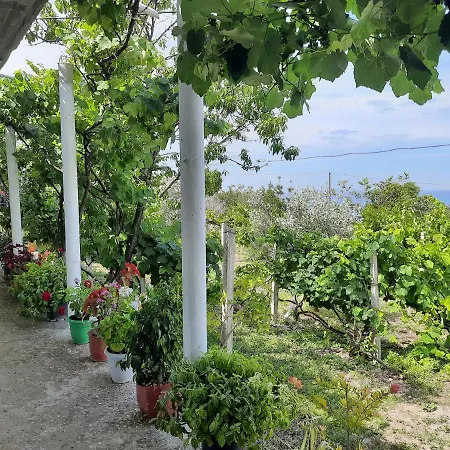 Hillside Apartmán Borsh