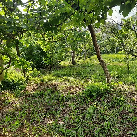 Hillside Apartment Borsh