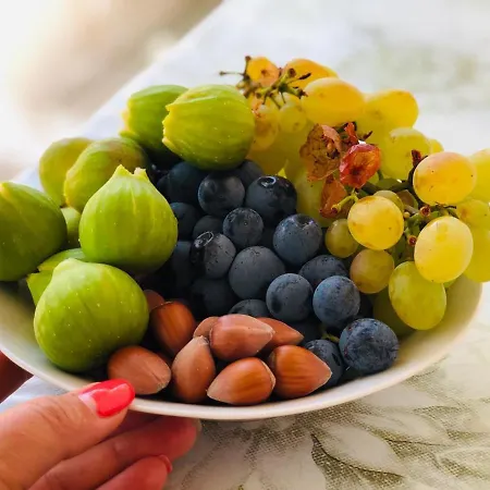 Hillside Apartment Borsh