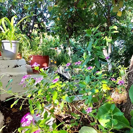 Apartmán Hillside