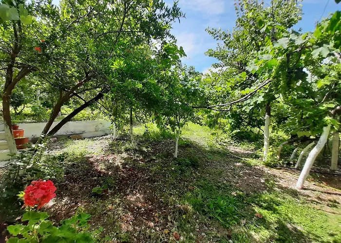 Appartamento Hillside *