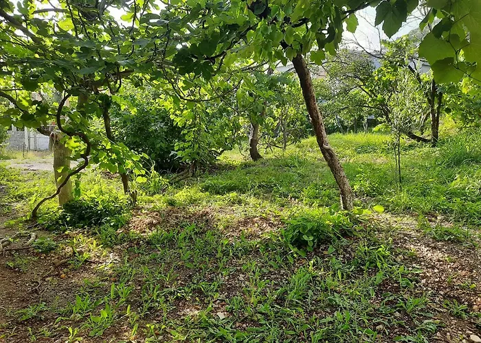 Hillside Appartamento Borsh