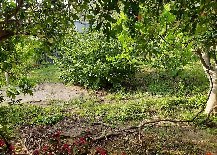 Hillside Appartamento