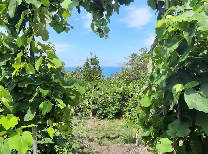 Hillside Appartamento