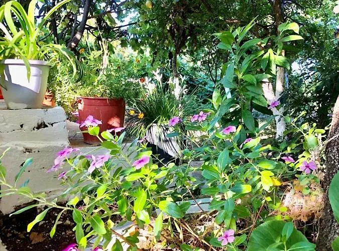 Appartamento Hillside