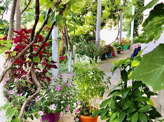 Hillside Appartement *