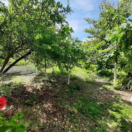 Appartement Hillside *