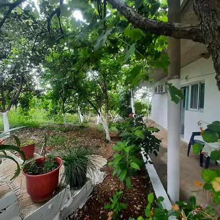 Hillside Apartment Borsh