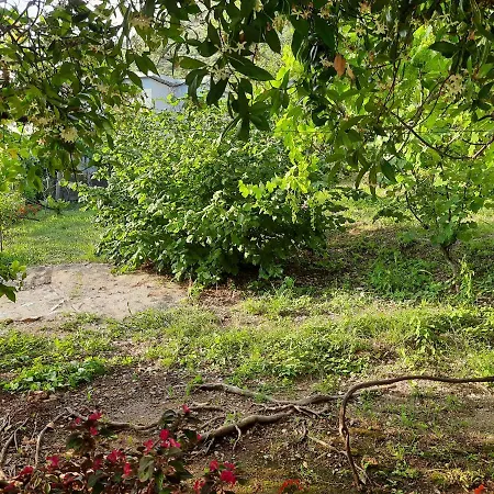 Hillside Appartement