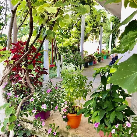 Hillside Appartement *