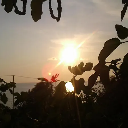 Hillside *