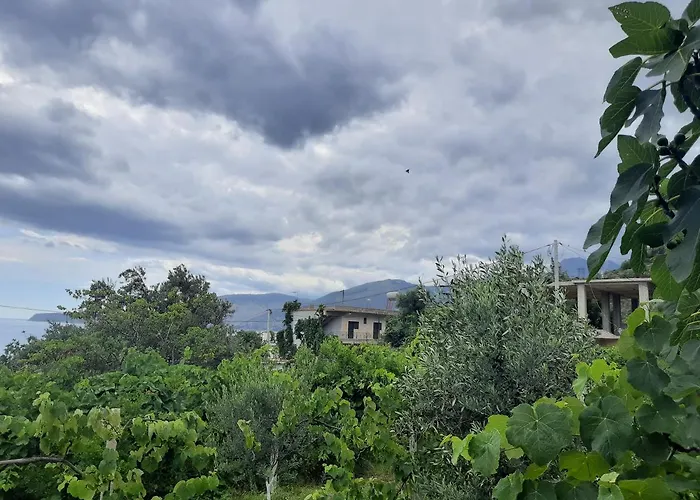 Daire Hillside Borş