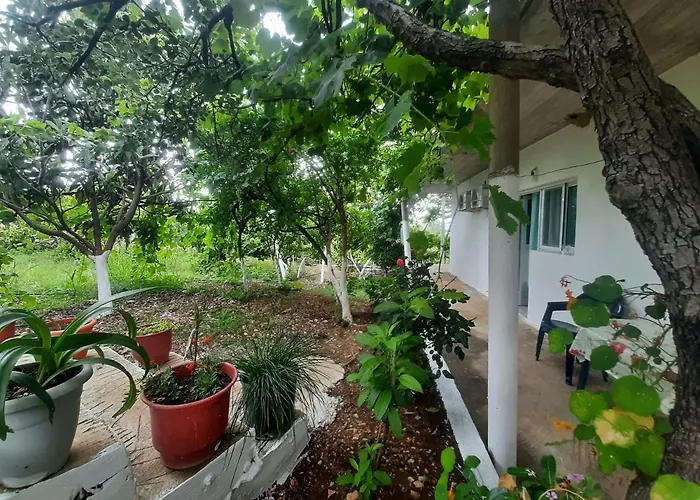 Hillside Apartamento Borsh