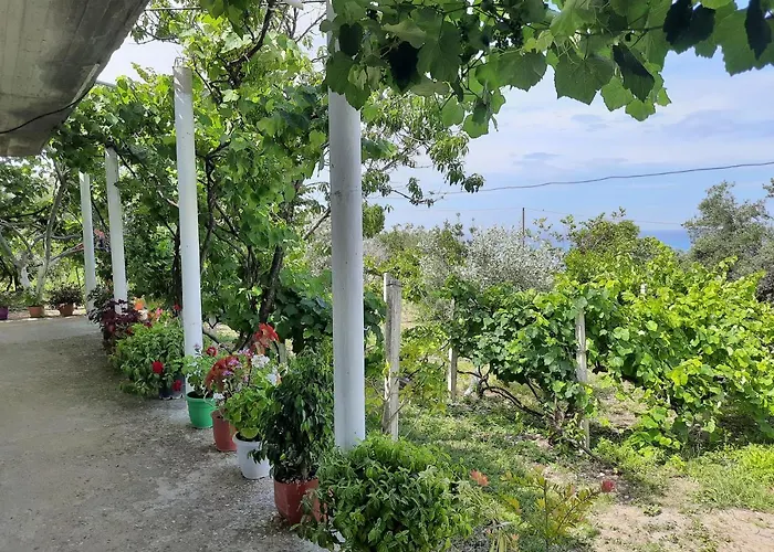 Hillside Daire Borş