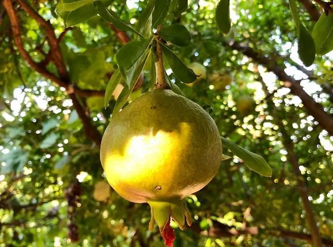 Apartamento Hillside *